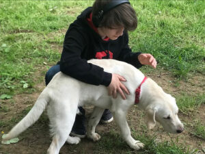 Kai with an assistance dog