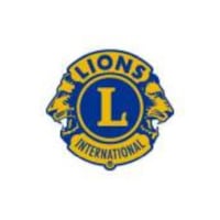 Link zu den Lions über deren Logo