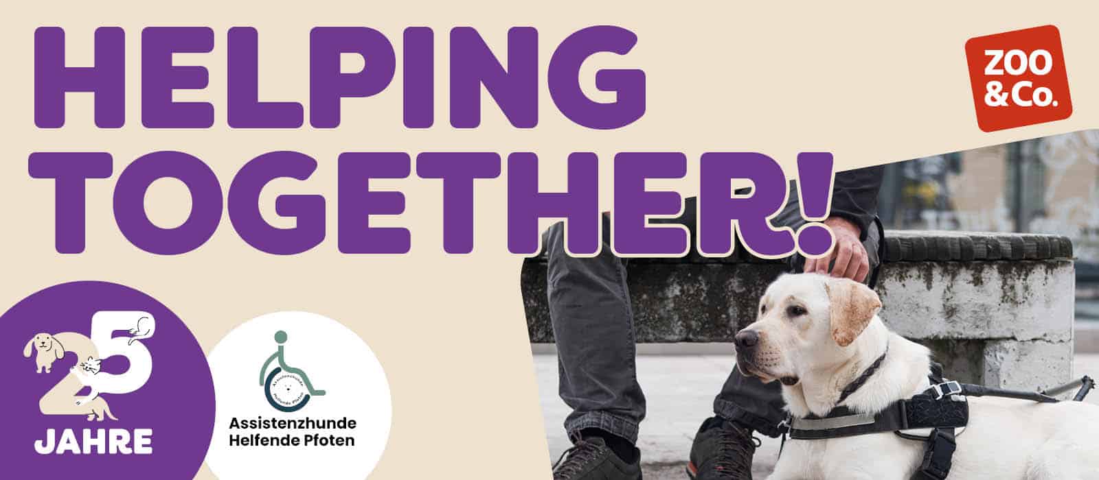Helping together! Campaign by ZOO & Co. and Assistenzhunde Helfende Pfoten marking 25 years of ZOO & Co. – an assistance dog in harness lying beside its handler.