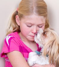 Mädchen mit Hund auf dem Schoß